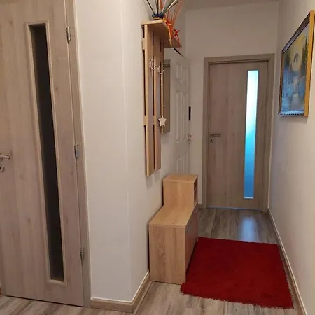 Nagcsalados Rozsa Apartment