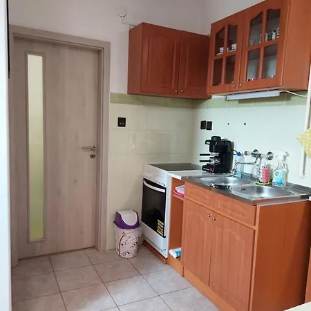 Nagcsalados Rozsa Apartment *