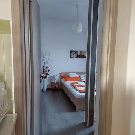 Nagcsaládos Rózsa * Balatonlelle