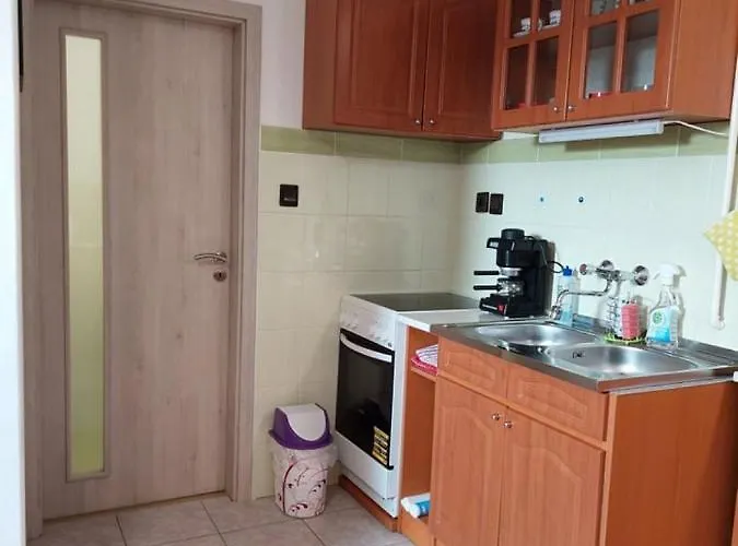 Nagcsalados Rozsa Apartment *